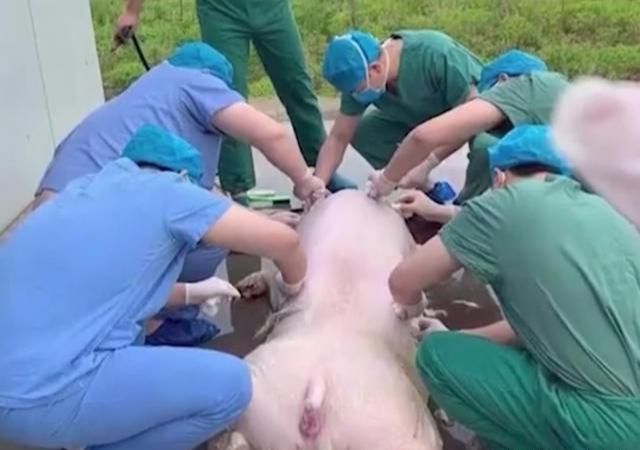 突发现场应急包的必要性及应用解析