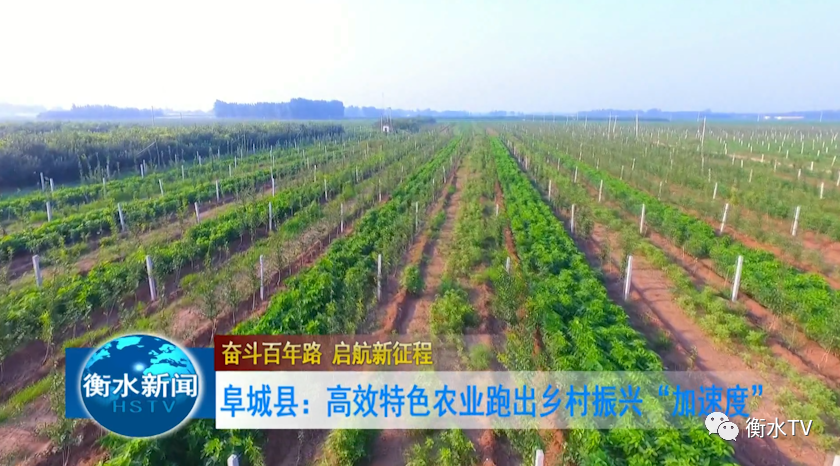 飞红滴翠 第2页