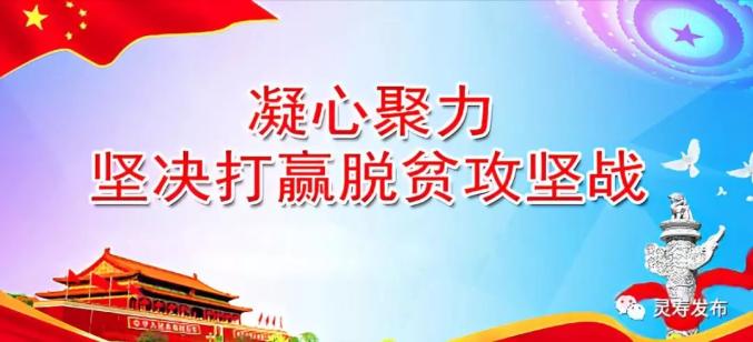 新年英语专题，迎接新一年的精彩启程！