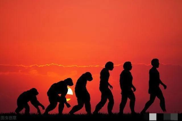 人类不断受到伤害：人类伤害自然的感想 