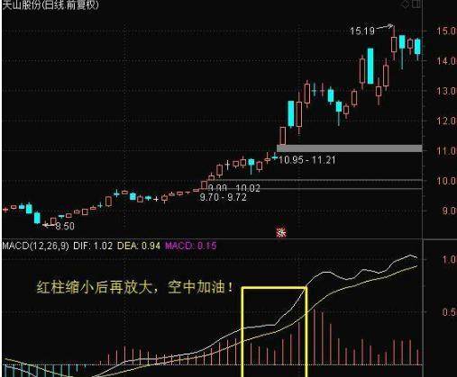 2025年1月26日 第10页