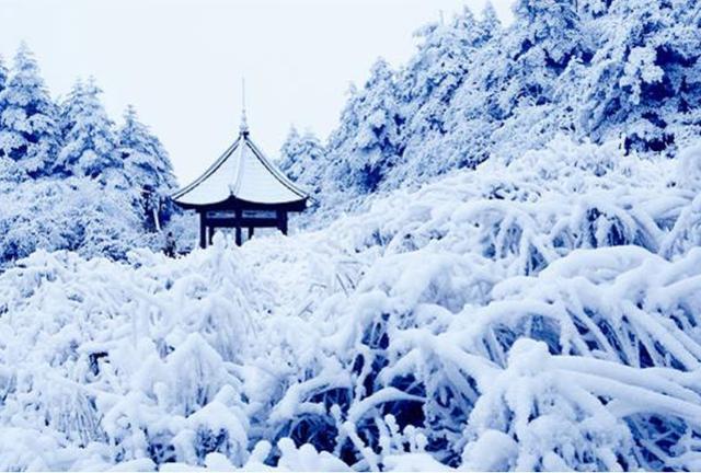 青松风雪之旅，完美攻略助你畅游无阻！