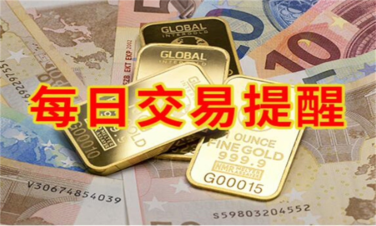 粉蕉行情今日动态，最新报价与走势分析