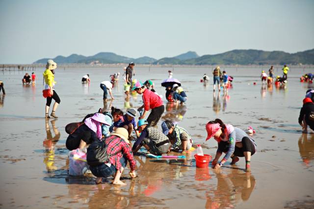 烟台赶海攻略，最新指南带你探索海鲜盛宴！