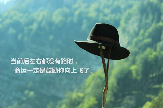 励志语录，不负青春，逐梦前行，让梦想照亮人生之路