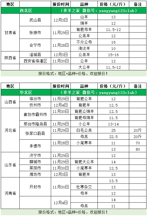 江苏羊价最新行情，今日价格揭秘！