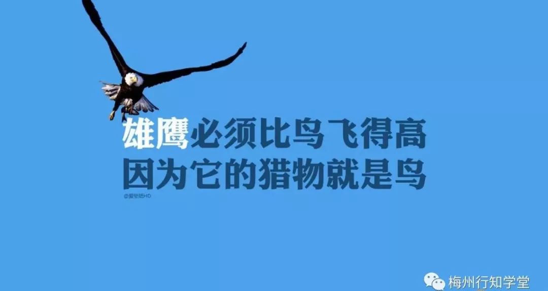 易经智慧经典语录，励志人生指南