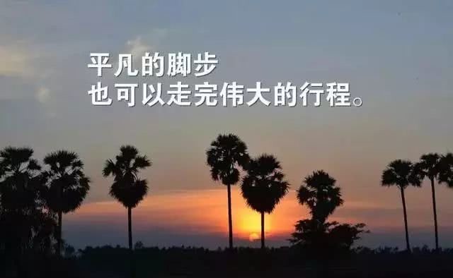眉清目秀