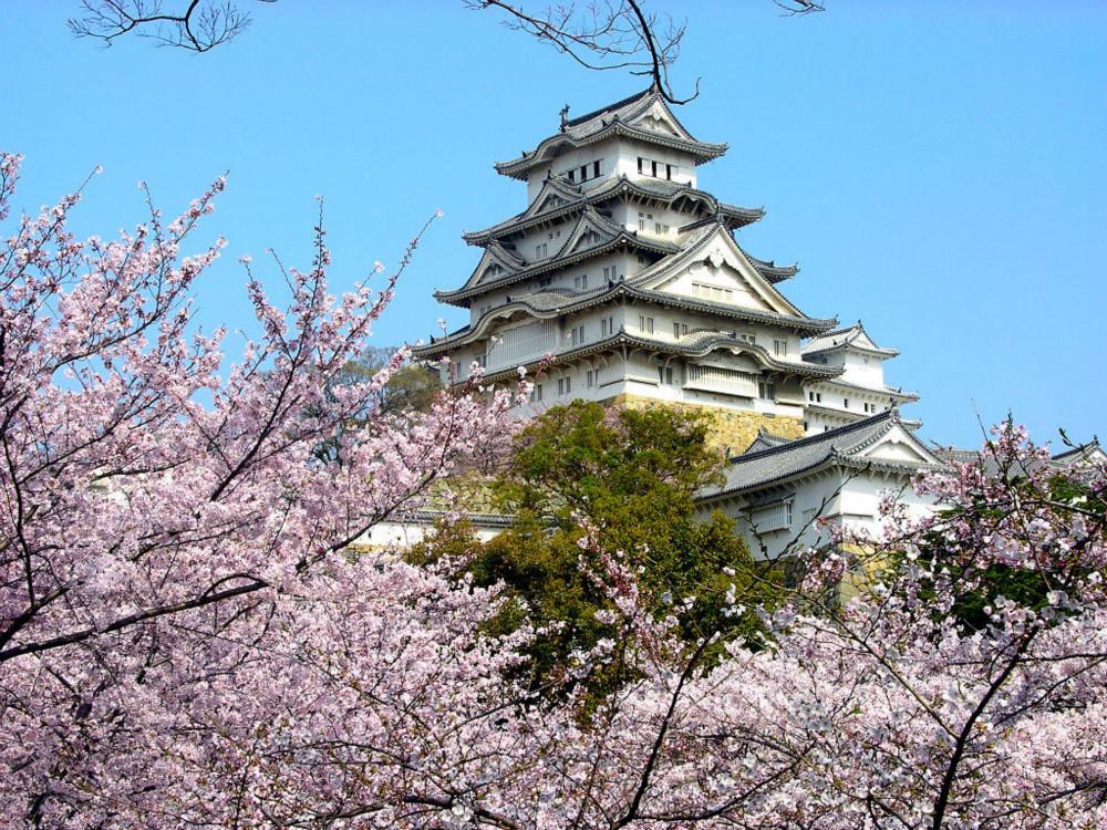 泰州至日本游玩指南，一站式旅游攻略