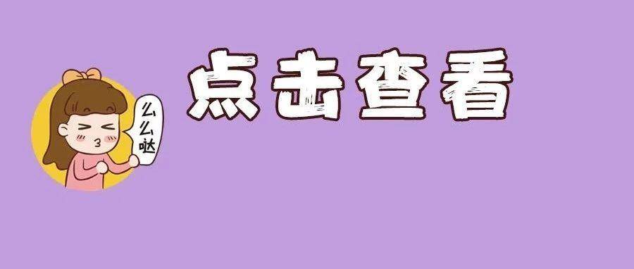 辽统监表使用指南，规范操作，助力高效监管