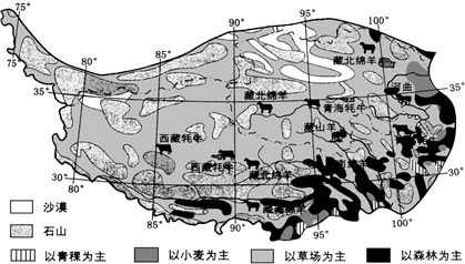 初中地理专题，揭秘地震的奥秘