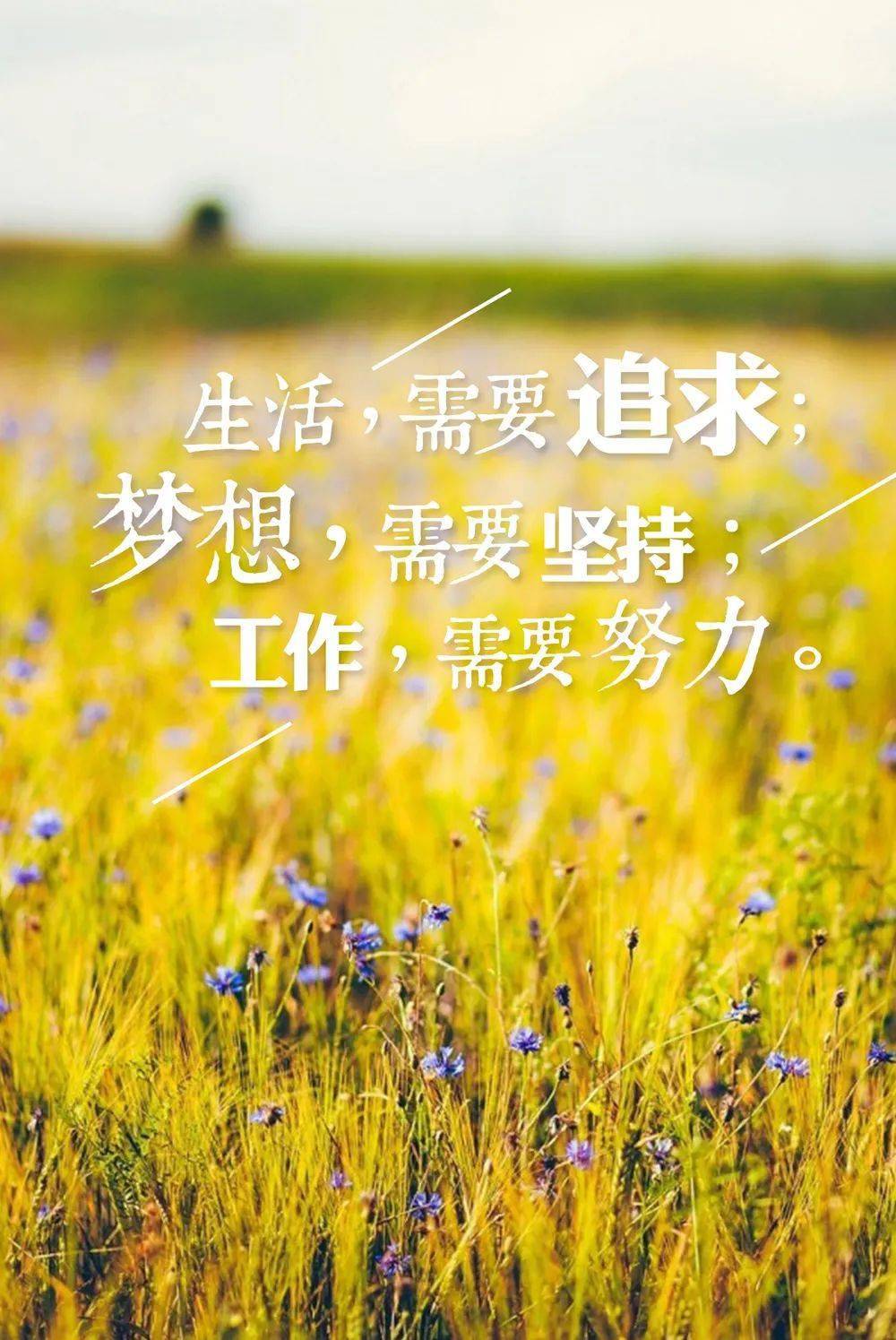 励志早会语录，激发无限潜能，开启美好一天的心灵感悟之旅
