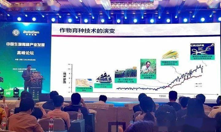 铸铝吊环安装指南，规范操作，安全无忧